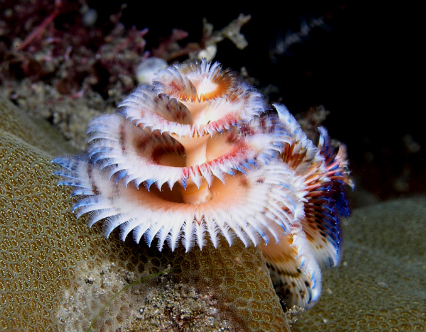 Problem illustration